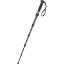 Robus RCM-633 6-Section Carbon Fiber Monopod, 65"