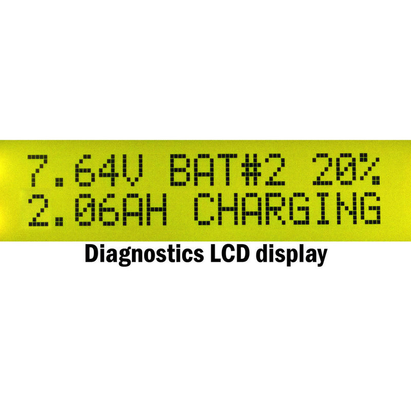 Dolgin Engineering Two-Position Charger for Panasonic DMW-BLJ31 Batteries with USB Port and TDM