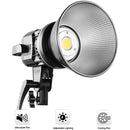 GVM LS-P80S LED Light Kit with Umbrella