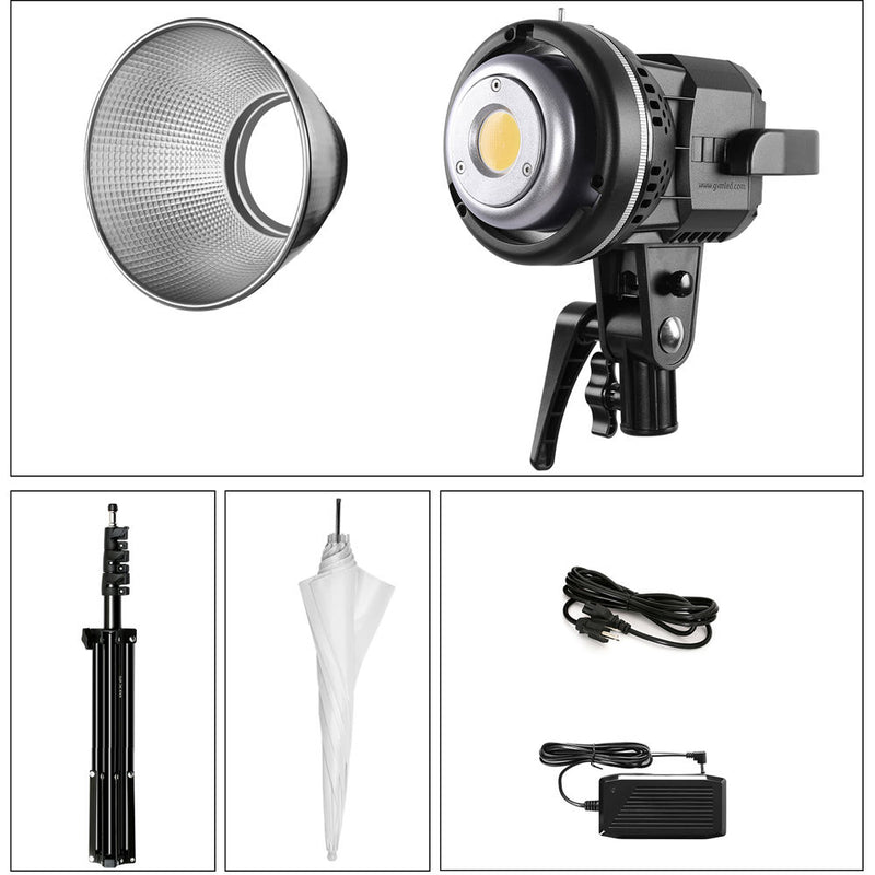 GVM LS-P80S LED Light Kit with Umbrella