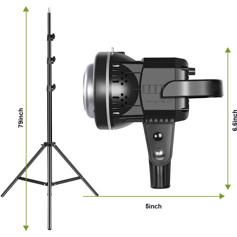 GVM P80S LED 4-Light Kit with Umbrellas, Softboxes, and Backdrops