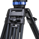 Benro A673TM Dual-Tube Aluminum Tripod & S8Pro Head