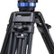 Benro A673TM Dual-Tube Aluminum Tripod & S8Pro Head