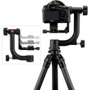 Robus RC-5570 Vantage Series 3 Carbon Fiber Tripod and Oben GH-30 Gimbal Head Kit