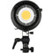 Genaray Endeavor ML-33K Daylight LED Monolight 2-Light Kit