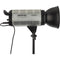 Genaray Endeavor ML-33K Daylight LED Monolight 2-Light Kit