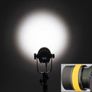 Genaray Torpedo LED Bi-Color Focusing Flood Light