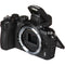 Nikon Z50 Mirrorless Digital Camera (Body Only)