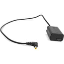 Rhino Camera Gear Power Adapter II for Select Sony Cameras