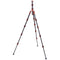 3 Legged Thing Leo 2.0 Tripod (Bronze)