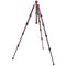 3 Legged Thing Leo 2.0 Tripod (Bronze)