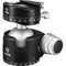 Really Right Stuff BH-55 Ball Head with Lever-Release Panning Clamp