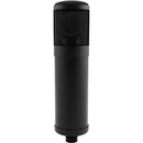 Slate Digital ML-1 VMS Large-Diaphragm Modeling Microphone (Matte Black)