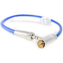 Kondor Blue Mini-XLR Male to Locking 3.5mm Stereo Cable for BMPCC 6K & 4K (Black)