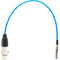 Kondor Blue Mini-XLR Male to XLR Female Audio Cable for BMPCC 6K & 4K (Blue, 16")