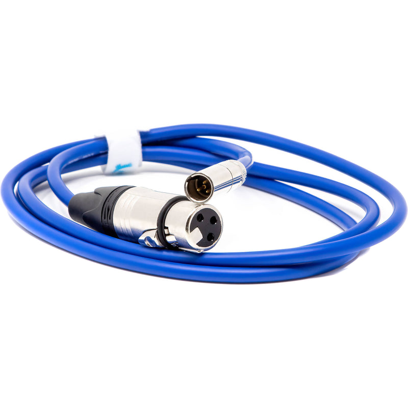 Kondor Blue Mini-XLR Male to XLR Female Audio Cable for BMPCC 6K & 4K (Blue, 16")