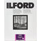 Ilford MULTIGRADE RC Deluxe Paper (Pearl, 8 x 10", 250 Sheets)