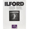 Ilford MULTIGRADE RC Deluxe Paper (Pearl, 9.5 x 12", 10 Sheets)