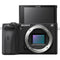 Sony Alpha a6600 Mirrorless Digital Camera with 18-135mm Lens