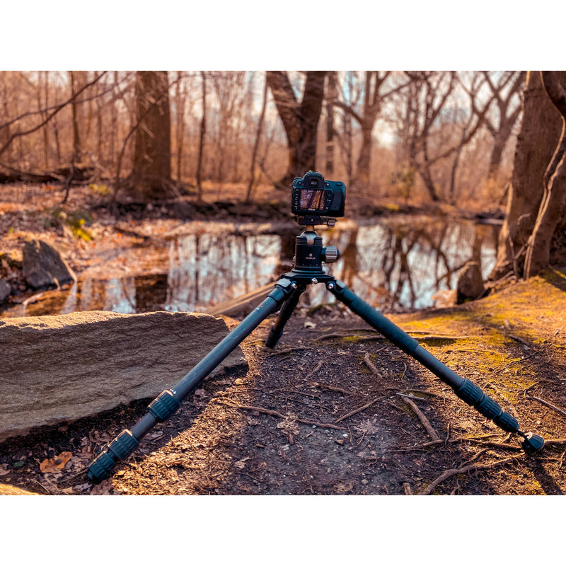 Robus RC-5570 Vantage Series 3 Carbon Fiber Tripod and Oben GH-30 Gimbal Head Kit