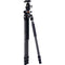 Vanguard VEO 3+ 263CB Carbon Fiber Tripod with VEO BH-160 Ball Head