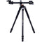 Vanguard VEO 3+ 263CB Carbon Fiber Tripod with VEO BH-160 Ball Head