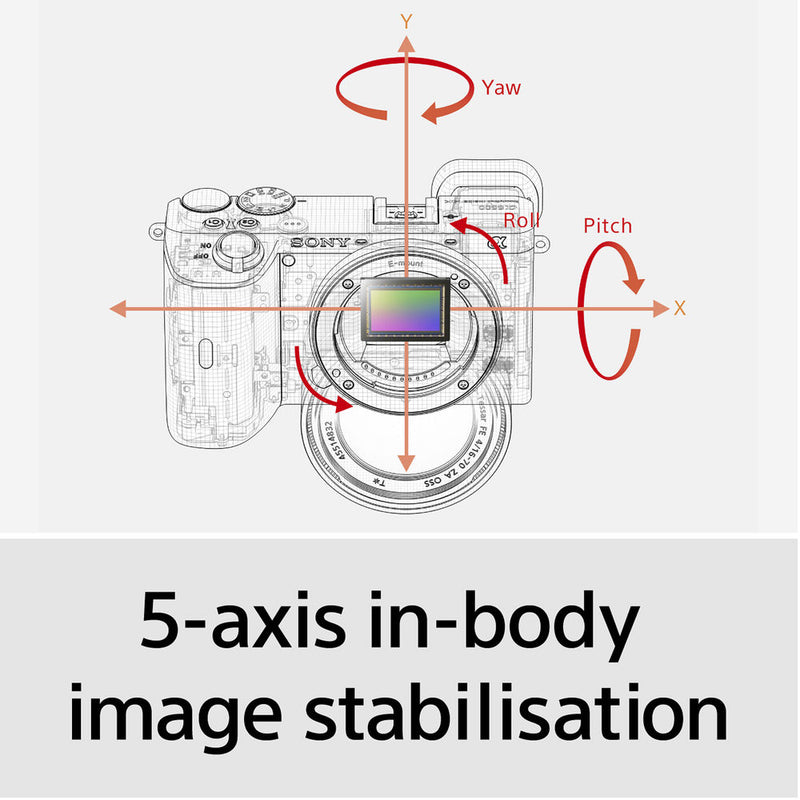 Sony Alpha a6600 Mirrorless Digital Camera with 18-135mm Lens and Accessories Kit