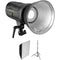 Genaray PortaBright Bi-Color LED Monolights and 36&quot; Octa Softboxes Kit