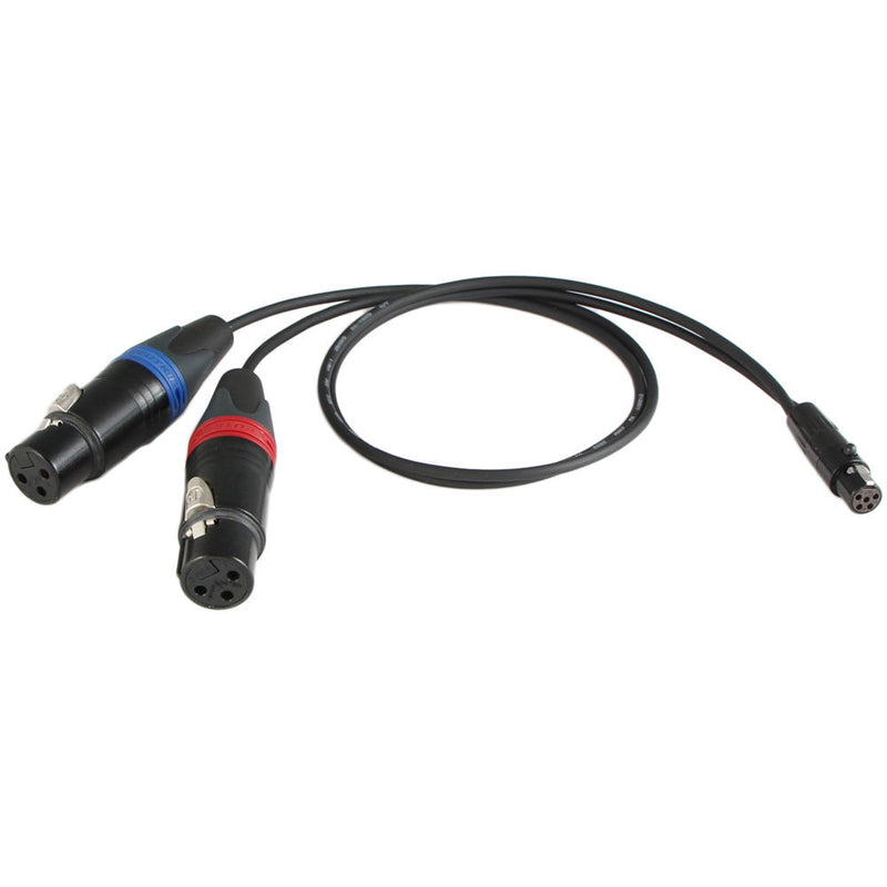 Cable Techniques Set of XLR-3F "Y" Cables for Sound Devices Scorpio TA5 Inputs (24"/each)