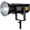 Godox FV200 High Speed Sync Flash LED Light