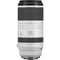 Canon RF 100-500mm f/4.5-7.1 L IS USM Lens