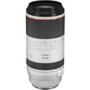 Canon RF 100-500mm f/4.5-7.1 L IS USM Lens