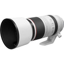 Canon RF 100-500mm f/4.5-7.1 L IS USM Lens