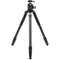 Robus RC-8880 Vantage Series 5 Carbon Fiber Tripod and Oben GH-30 Gimbal Head Kit