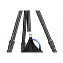 Benro Rhino Carbon Fiber Two Series Travel Tripod with VX25 Head