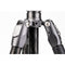 Benro Rhino Carbon Fiber Two Series Travel Tripod with VX25 Head