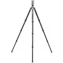 Benro Rhino Carbon Fiber Three Series Travel Tripod with VX30 Head