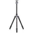 Benro Rhino Carbon Fiber Three Series Travel Tripod with VX30 Head