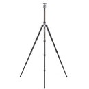 Benro Rhino Carbon Fiber Three Series Travel Tripod with VX30 Head