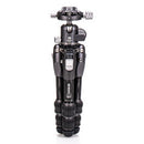 Benro Tortoise Columnless Carbon Fiber Zero Series Tripod with GX25 Ball Head