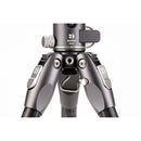 Benro Tortoise Columnless Carbon Fiber Zero Series Tripod with GX25 Ball Head