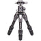 Benro Tortoise Columnless Carbon Fiber Zero Series Tripod with GX25 Ball Head