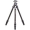 Benro Tortoise Columnless Carbon Fiber One Series Tripod with GX25 Ball Head