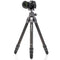 Benro Tortoise Columnless Carbon Fiber Three Series Tripod with GX35 Ball Head