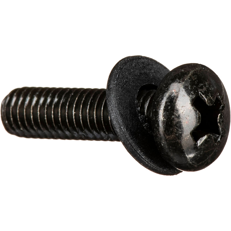 Auray RSW-1032-50 10-32 Phillips Rack Screws and Washers (Set of 50)