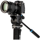 Benro Classic Video Monopod with S2 Pro Flat Base Fluid Video Head