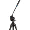 Benro Aluminum Tripod with S2 PRO 60mm Flat Base Video Head