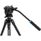 Benro Aluminum Tripod with S2 PRO 60mm Flat Base Video Head