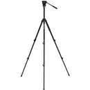 Benro Aluminum Tripod with S2 PRO 60mm Flat Base Video Head