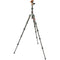 3 Legged Thing Legends Ray Carbon Fiber Tripod with AirHed Vu Ball Head Set (Bronze / Blue)